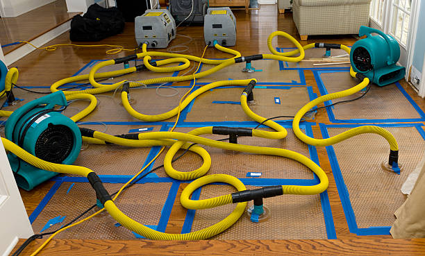Professional Flood Damage Restoration technician working in Mansfield, LA